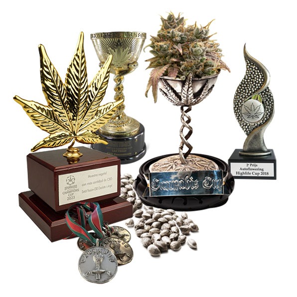 Cannabis Awards