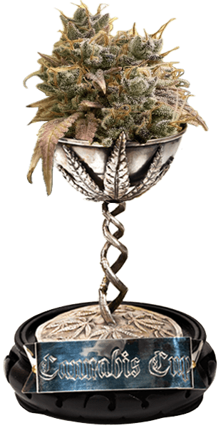 High Times Cannabis Cup