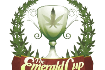 The Emerald Cup old logo