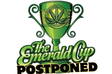 Emerald Cannabis Cup Awards postponed