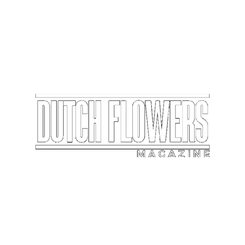 Dutch Flowers Cup