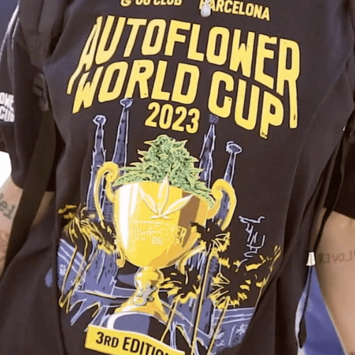 2023 Autoflower World Cup