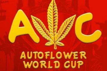 Autoflower World Cup