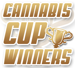 CANNABIS CUP WINNERS