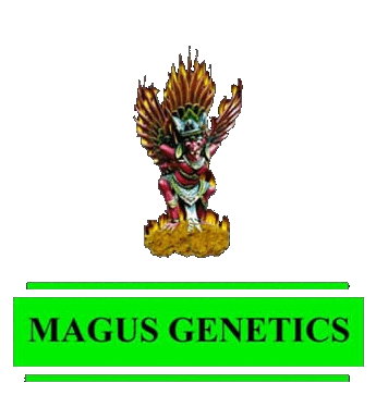 Magus Genetics