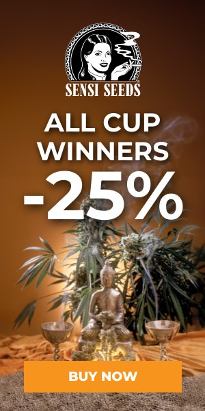 SENSI SEEDS - ALL CUP WINNERS -25%
