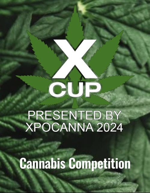x-cup-2024
