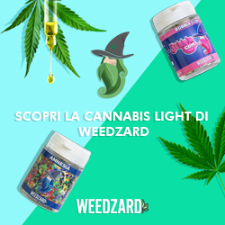 The WEEDZARD