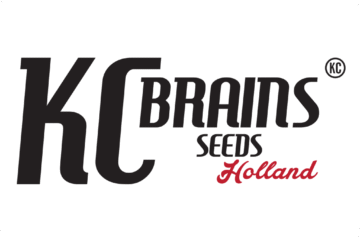 K.C. Brains Seeds